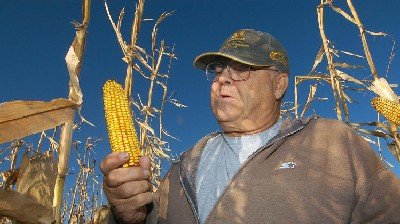 Robert Malsom checks corn in one of his fields near Roscoe, S.D. Malsam nearly went broke in the 1980s when corn was cheap. So now that prices are high and he can finally make a profit, he's not about to apologize for ripping up prairieland to plant corn.